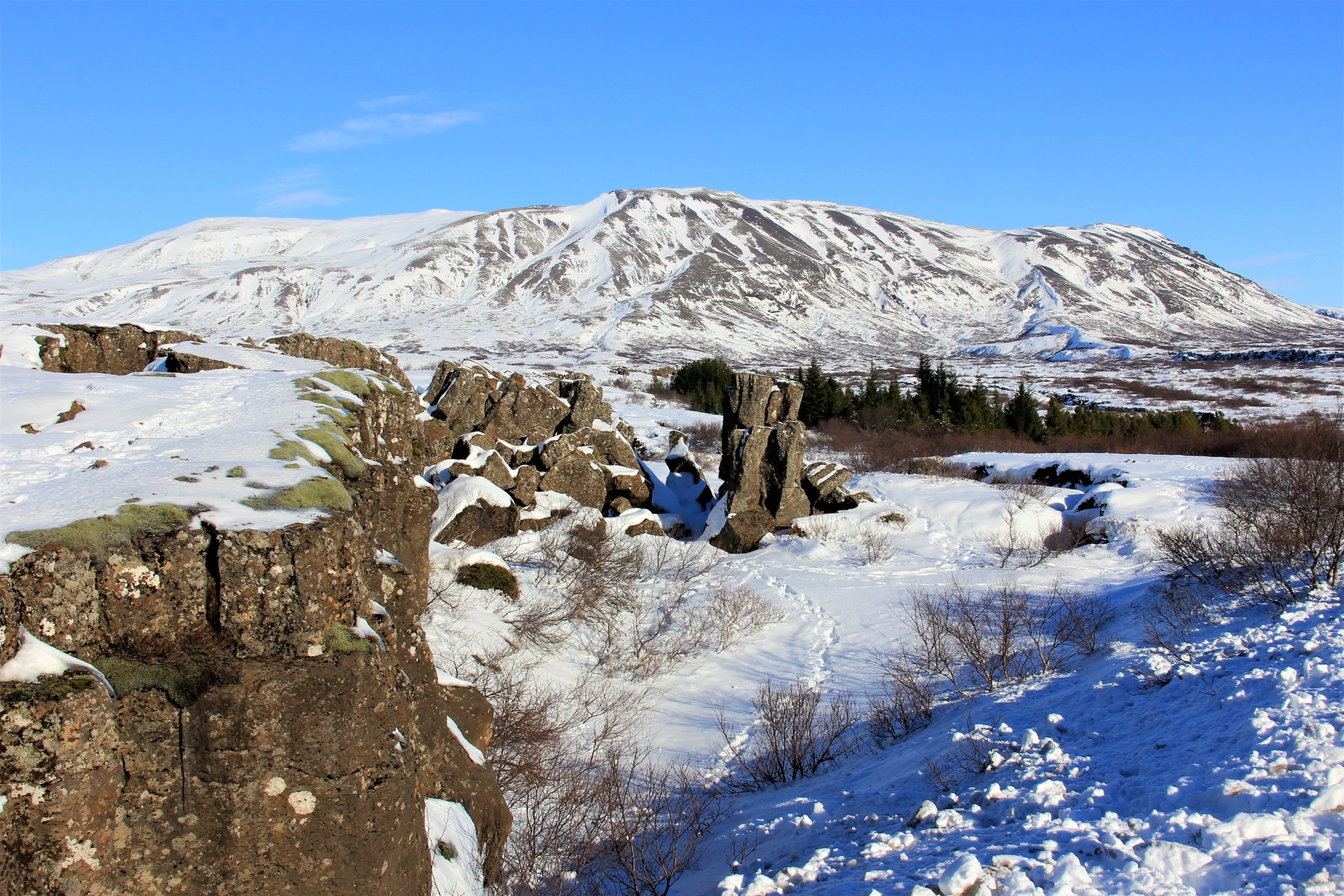 Basalt colums in winter cap, Þingvellir