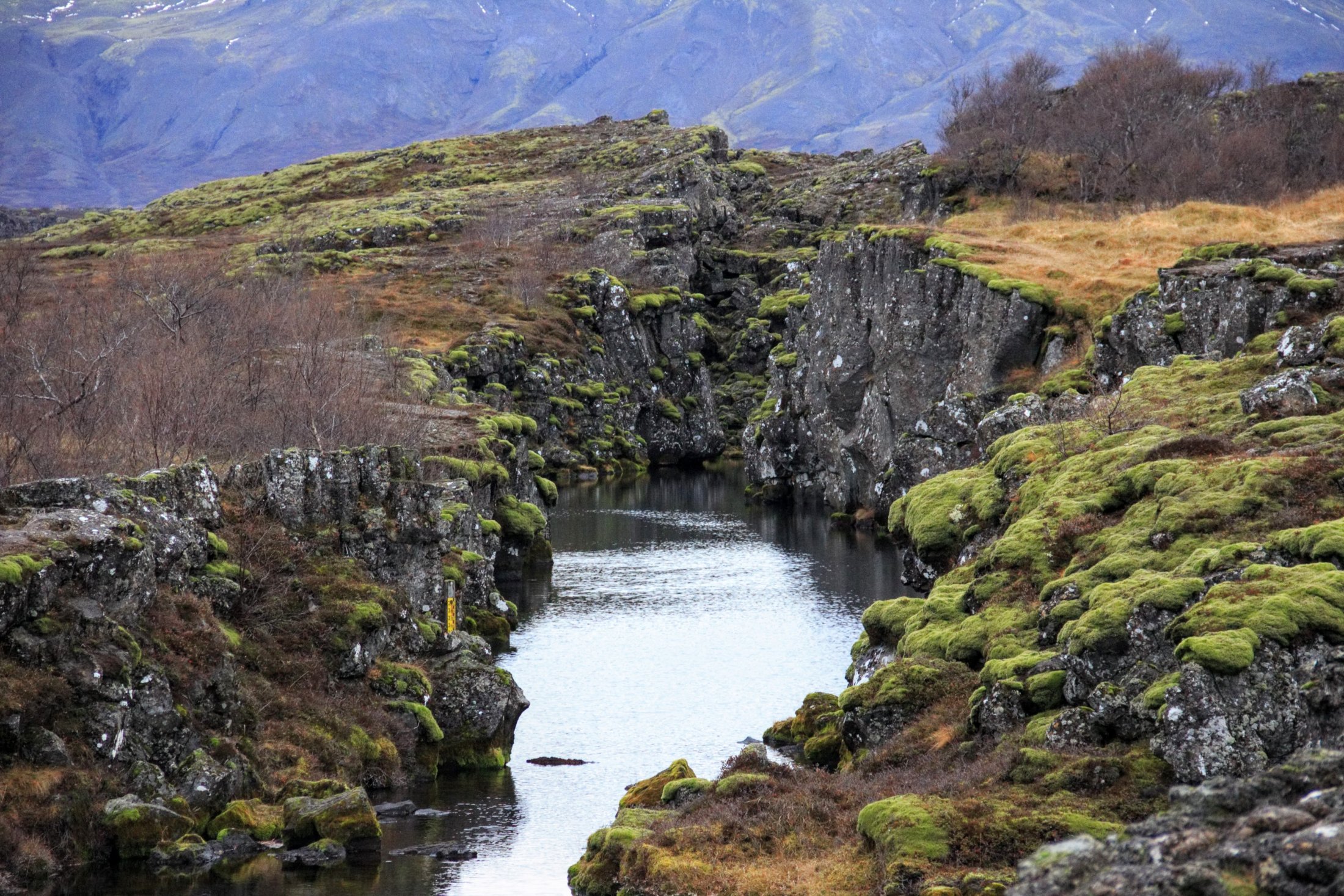 Flosagjá at Þingvellir