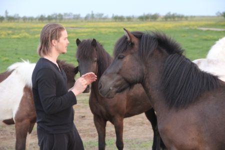 Alexander the horsewhisperer